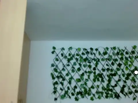 kuroneko 97 online show from November 29, 2025, 8:20 pm