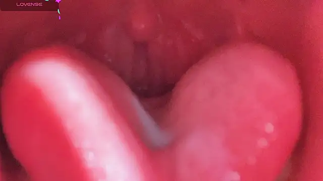 LT-333 online show from February 25, 2026, 5:13 pm