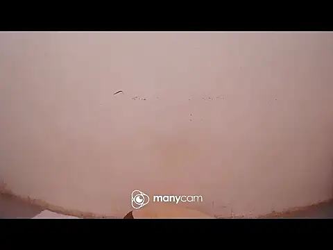 hottiemama69 online show from March 29, 2026, 10:33 pm