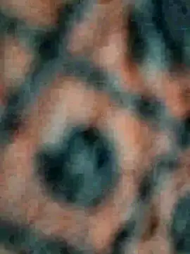 Snapshot of lustyy_boy chatting on December 1, 2025, 5:14 pm lustyy boy online show from December 1, 2025, 5:14 pm