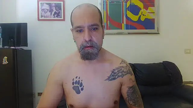 Snapshot of AMIRDIB2025 chatting on August 3, 2026, 10:10 am AMIRDIB2025 online show from August 3, 2026, 10:10 am