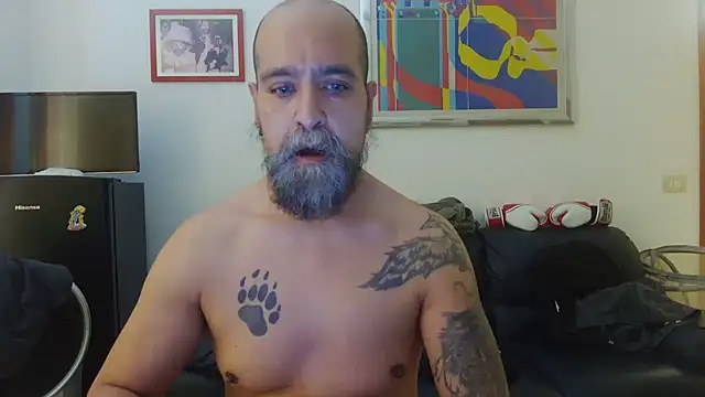 AMIRDIB2025 online show from June 15, 2026, 1:55 pm