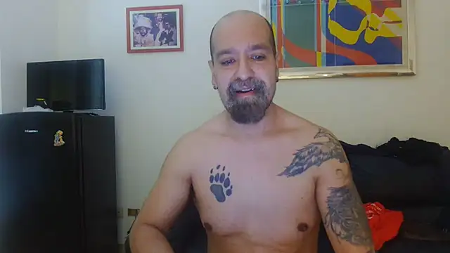 Snapshot of AMIRDIB2025 chatting on July 30, 2026, 4:28 pm AMIRDIB2025 online show from July 30, 2026, 4:28 pm
