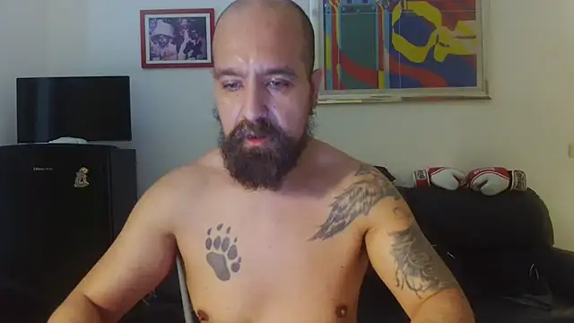 AMIRDIB2025 online show from June 16, 2026, 4:29 pm