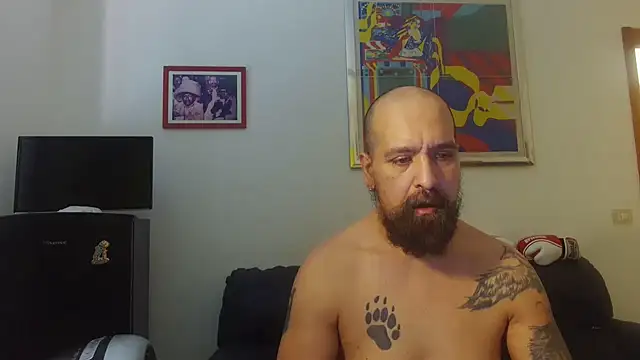 Snapshot of AMIRDIB2025 chatting on June 17, 2026, 10:47 am AMIRDIB2025 online show from June 17, 2026, 10:47 am
