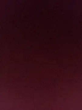 gatitachula93 online show from April 11, 2026, 7:17 pm