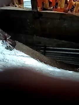 danielusbss online show from December 2, 2025, 2:56 am