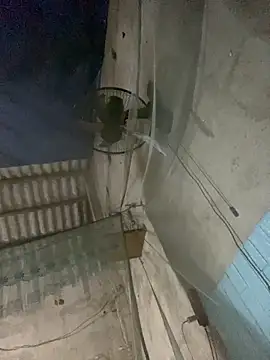 Lilik2 online show from February 7, 2026, 1:52 pm