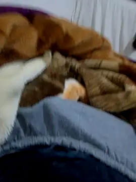 KF hway online show from March 10, 2026, 7:51 pm