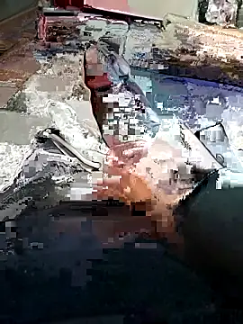 yacinekabiley16 online show from February 13, 2026, 12:49 pm