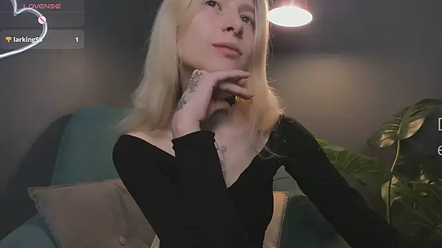 error occurred  online show from February 1, 2026, 12:14 pm