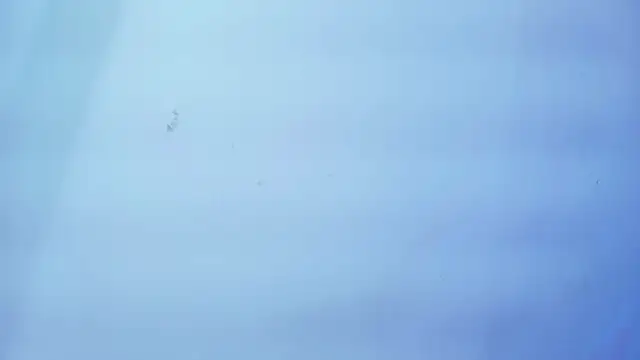 Snapshot of Nicole_sounders chatting on January 19, 2026, 11:25 am Nicole sounders online show from January 19, 2026, 11:25 am