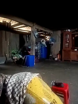 ava-dellght online show from February 4, 2026, 2:28 am