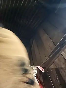 sary-hot2x online show from January 9, 2026, 12:01 pm