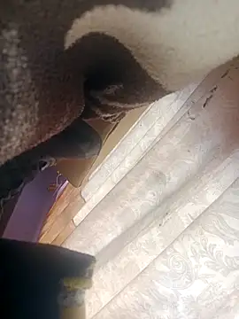 OrangishBank827 online show from December 16, 2025, 10:36 pm