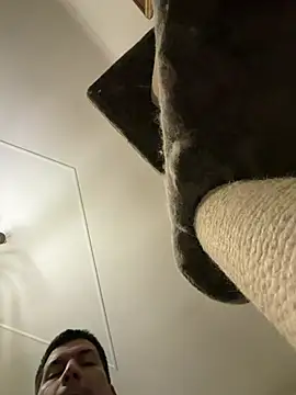 Snapshot of CharlyAlfa22 chatting on February 11, 2026, 11:26 pm CharlyAlfa22 online show from February 11, 2026, 11:26 pm