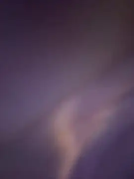 Wailsaa sdf online show from February 8, 2026, 1:20 pm