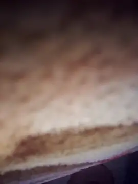 samanahuja online show from December 19, 2025, 8:44 pm