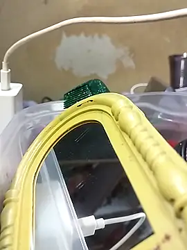 Sexy Riya123 online show from April 28, 2026, 6:12 pm