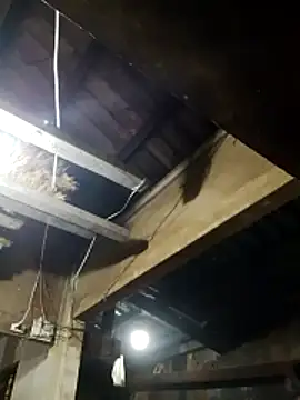  CTMay 77 online show from March 21, 2026, 12:31 pm