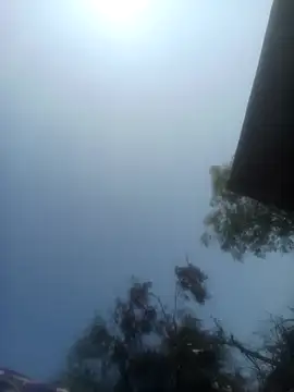 Pinki rajak online show from February 10, 2026, 6:23 am