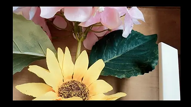 vickvalencia2 online show from May 4, 2026, 1:47 pm