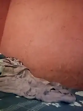 THErealHeat online show from February 18, 2026, 5:38 am