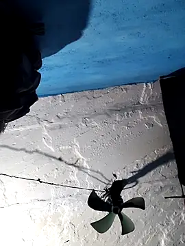 Akanksha soni online show from March 16, 2026, 7:49 pm