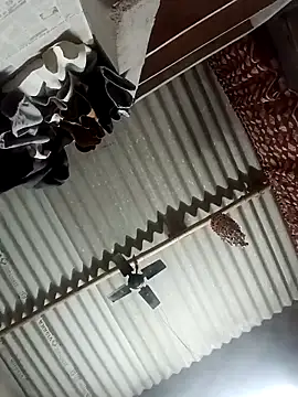 Shreya pandit online show from March 23, 2026, 10:31 pm