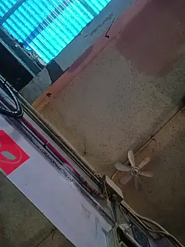 SnappedHagfish online show from April 2, 2026, 9:16 am