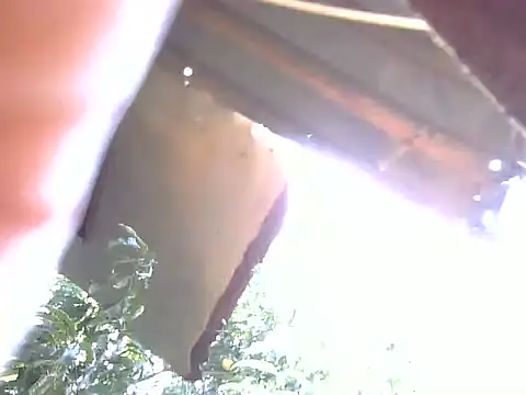 Snapshot of LadyPanda chatting on February 3, 2026, 11:04 am LadyPanda online show from February 3, 2026, 11:04 am