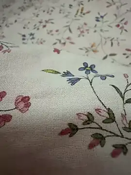 rebyreby11 online show from April 1, 2026, 4:59 pm