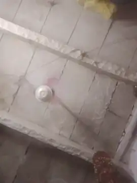 HOT-ANJALI7 online show from March 31, 2026, 7:38 pm