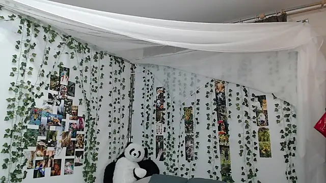 DeerMiracle online show from January 9, 2026, 4:08 am