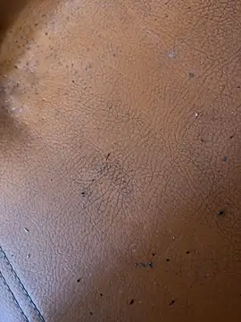 solecito sex  online show from June 2, 2026, 4:40 pm