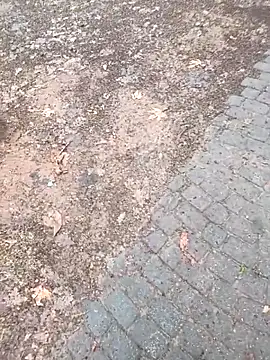 Snapshot of musa27272 chatting on February 1, 2026, 5:27 am musa27272 online show from February 1, 2026, 5:27 am