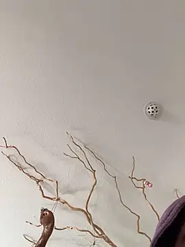 LienalWarplane online show from February 5, 2026, 2:24 pm