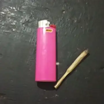 xxbucetudaxxx online show from January 14, 2026, 2:26 am