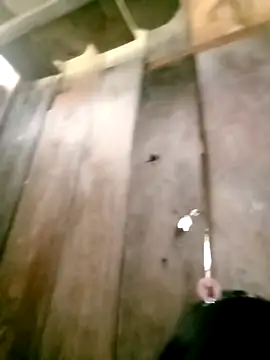 DIANAKUTE online show from March 10, 2026, 5:44 am