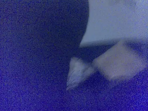 Babyboo3620 online show from March 14, 2026, 1:22 am