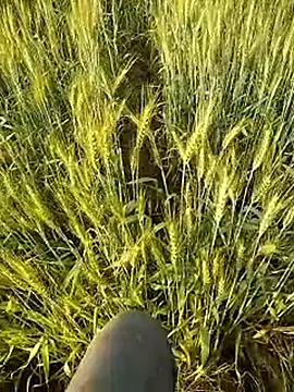 hornycouple20000 online show from February 21, 2026, 11:56 am