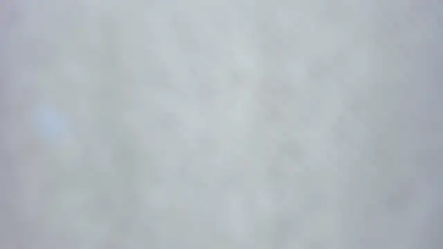 kiyoko yun online show from April 3, 2026, 7:48 am