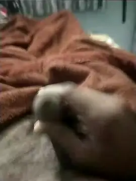 Snapshot of arsdeep1989 chatting on January 13, 2026, 3:32 am arsdeep1989 online show from January 13, 2026, 3:32 am