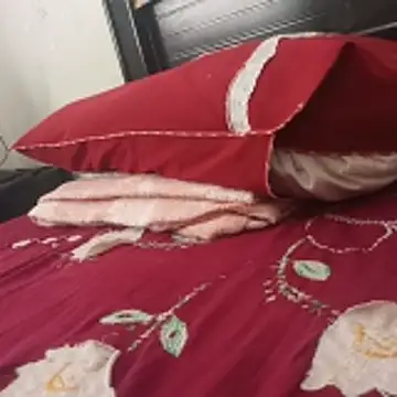    - - bucetuda  2026 online show from January 6, 2026, 2:43 pm