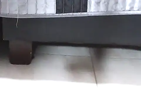 Ellatin15 online show from February 26, 2026, 8:47 am