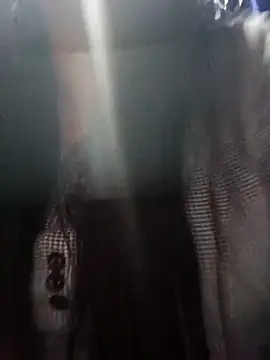 01Roshani online show from January 17, 2026, 8:40 am