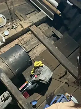 Some-03 online show from January 19, 2026, 11:14 am