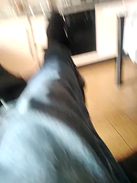 Snapshot of Sweet_Daddy_John chatting on March 3, 2026, 11:39 am Sweet Daddy John online show from March 3, 2026, 11:39 am