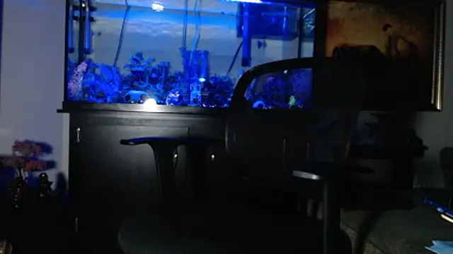 Snapshot of EspanolVato chatting on January 8, 2026, 12:55 pm EspanolVato online show from January 8, 2026, 12:55 pm