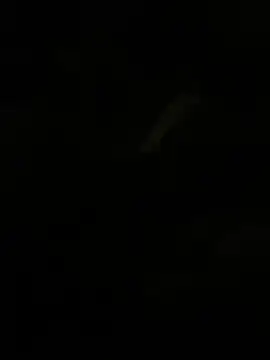 Snapshot of Herr_Snusk chatting on July 1, 2026, 12:11 am Herr Snusk online show from July 1, 2026, 12:11 am